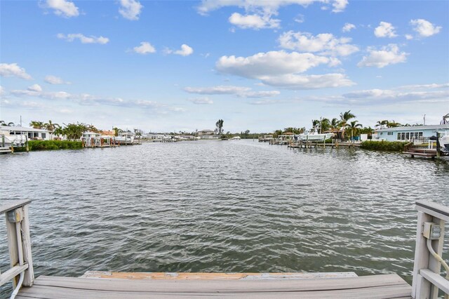 dock area with a water view