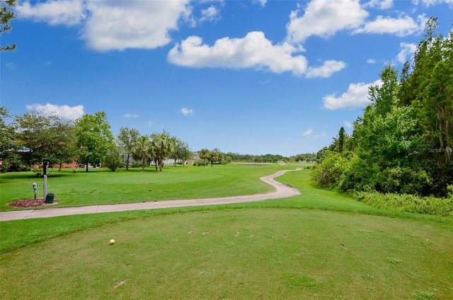 view of property's community featuring a lawn