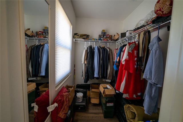 spacious closet with dark wood-type flooring