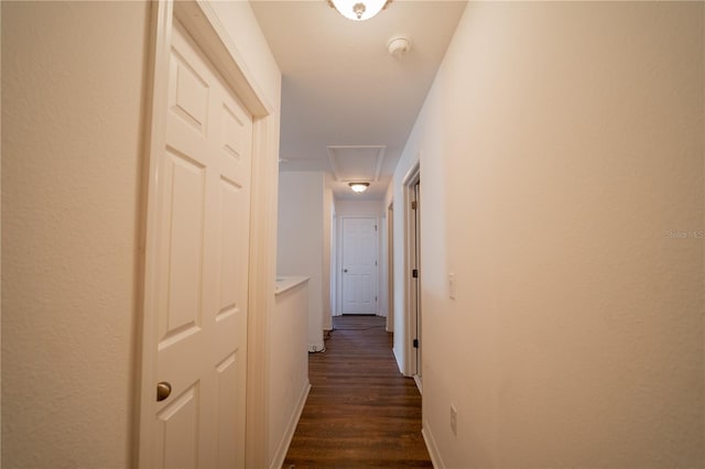 hall featuring dark hardwood / wood-style flooring