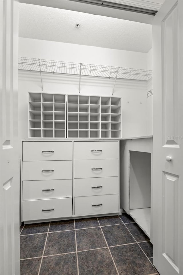 403 S Oregon Ave, Tampa, FL 33606 - spacious closet featuring dark tile patterned floors