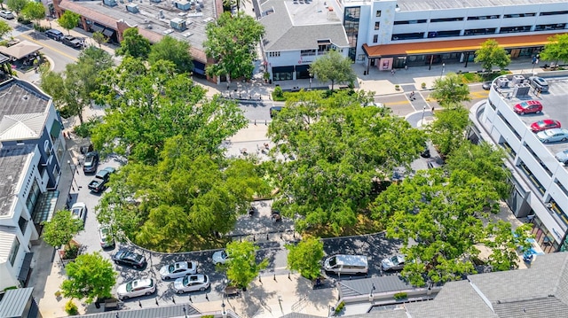403 S Oregon Ave, Tampa, FL 33606 - birds eye view of property