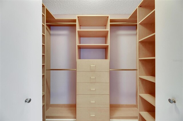 719 Winterbrooke Way, Sun City Center, FL 33573 - view of walk in closet