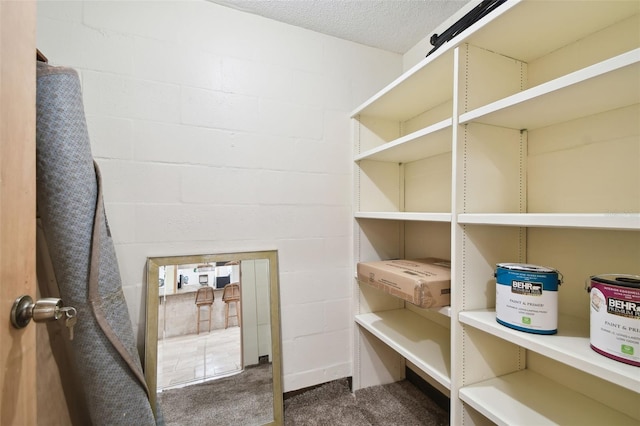 36750 US Highway 19 N Unit 03127, Palm Harbor, FL 34684 - view of storage area