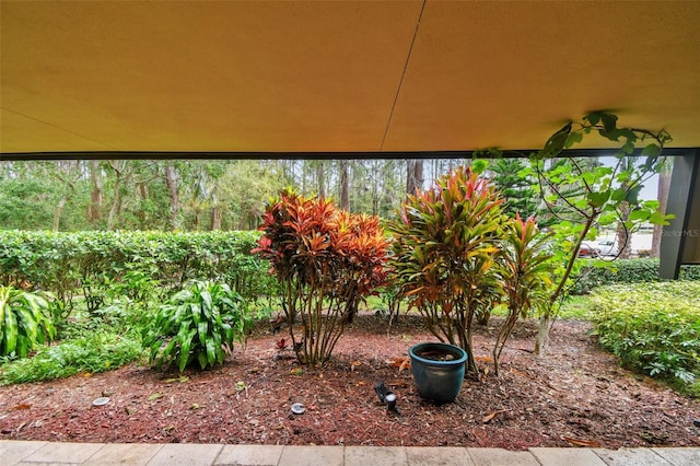 36750 US Highway 19 N Unit 03127, Palm Harbor, FL 34684 - view of yard