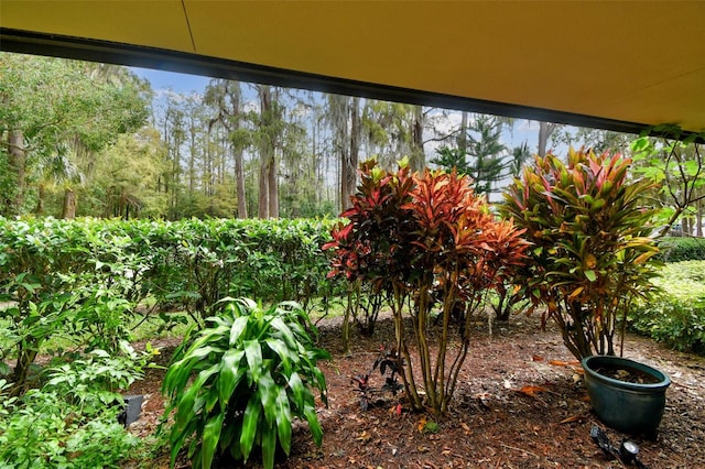 36750 US Highway 19 N Unit 03127, Palm Harbor, FL 34684 - view of yard