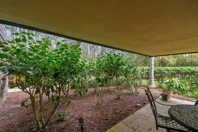 36750 US Highway 19 N Unit 03127, Palm Harbor, FL 34684 - view of patio