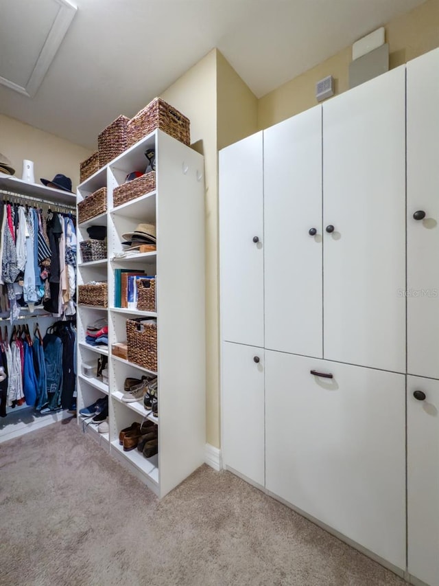 spacious closet with light carpet