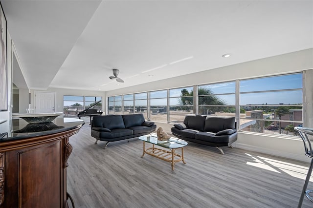 living room with a wealth of natural light and light hardwood / wood-style floors