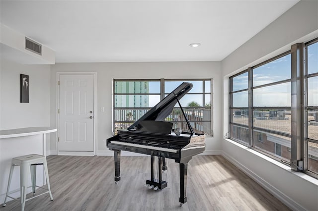 miscellaneous room featuring plenty of natural light and light hardwood / wood-style floors