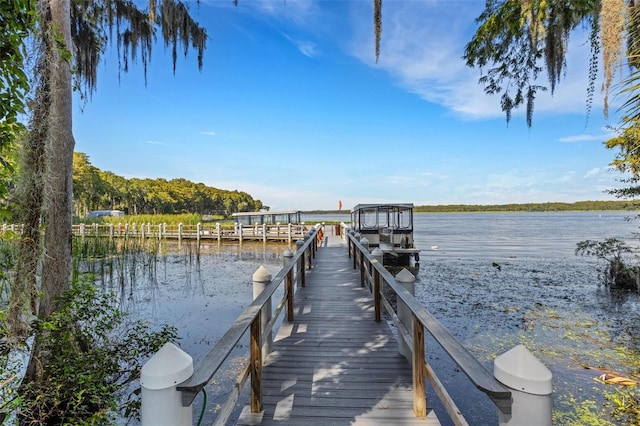 dock area featuring a water view