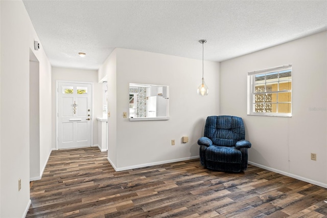 living area with a textured ceiling and dark hardwood / wood-style floors