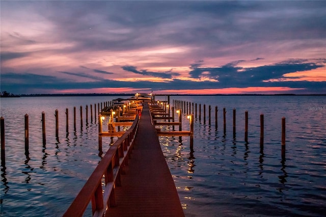 dock area with a water view