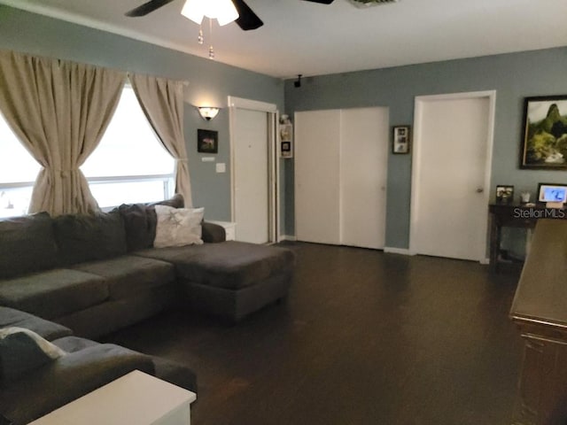 living room featuring ceiling fan and dark wood-type flooring