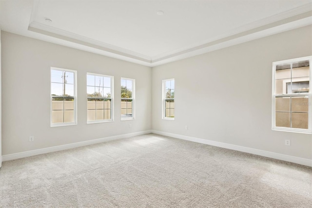 spare room featuring carpet, a tray ceiling, and baseboards