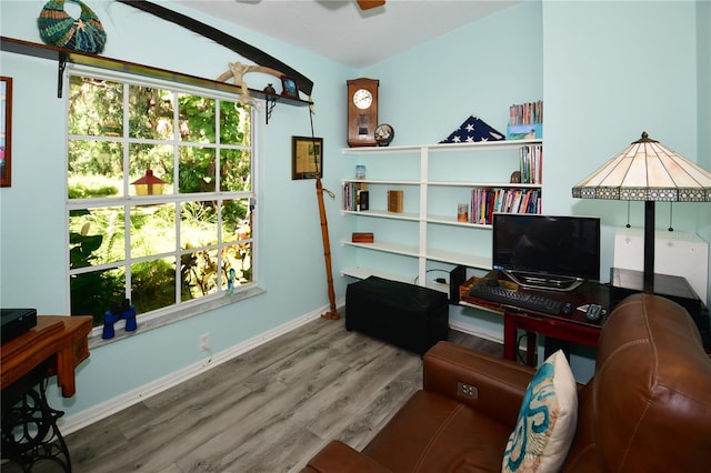 home office featuring a wealth of natural light and wood-type flooring