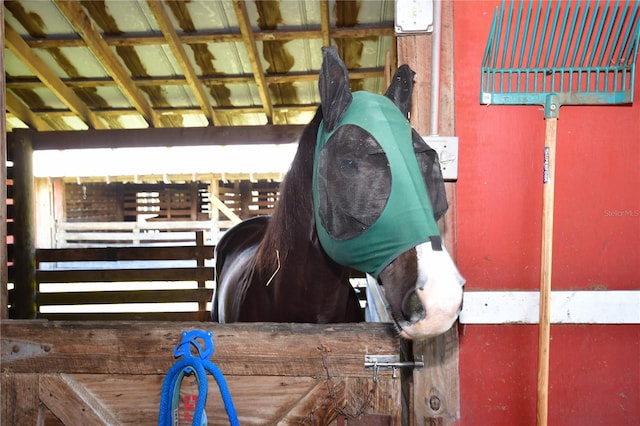 view of horse barn