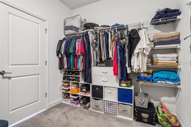 spacious closet with carpet flooring