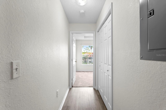 corridor featuring a textured ceiling, electric panel, and hardwood / wood-style flooring