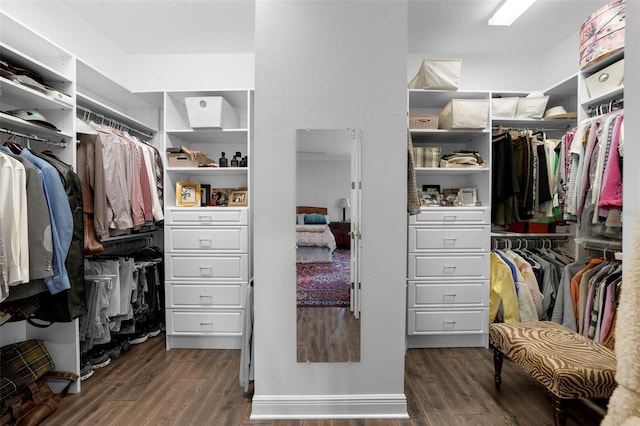 walk in closet featuring dark hardwood / wood-style flooring