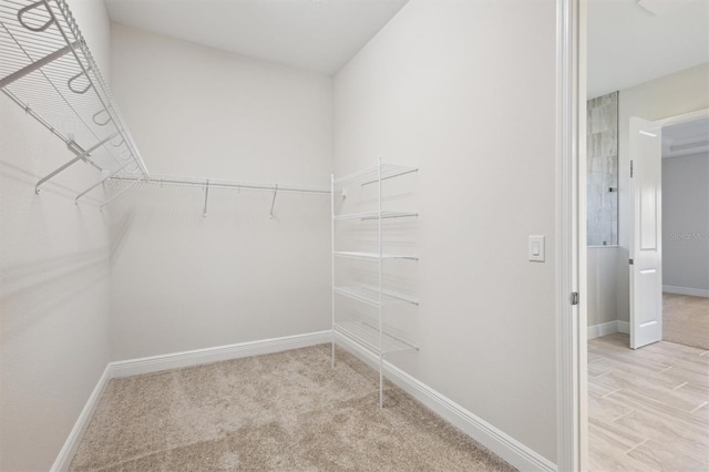 walk in closet featuring light carpet