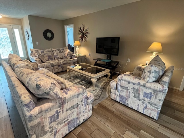 living room featuring hardwood / wood-style flooring