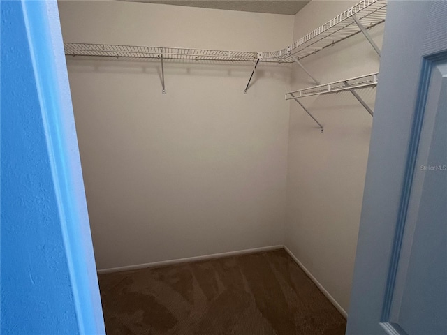 walk in closet with dark carpet