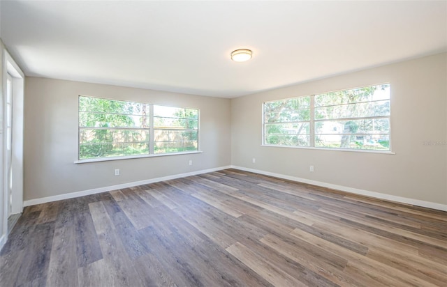 spare room featuring wood-type flooring