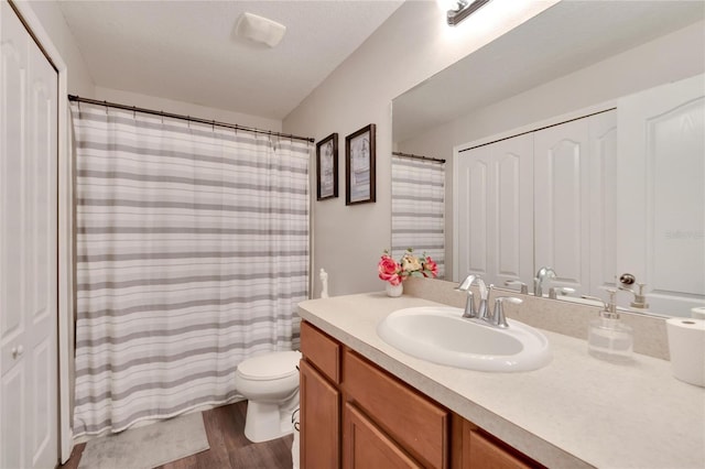 bathroom featuring hardwood / wood-style flooring, vanity, toilet, and a shower with shower curtain