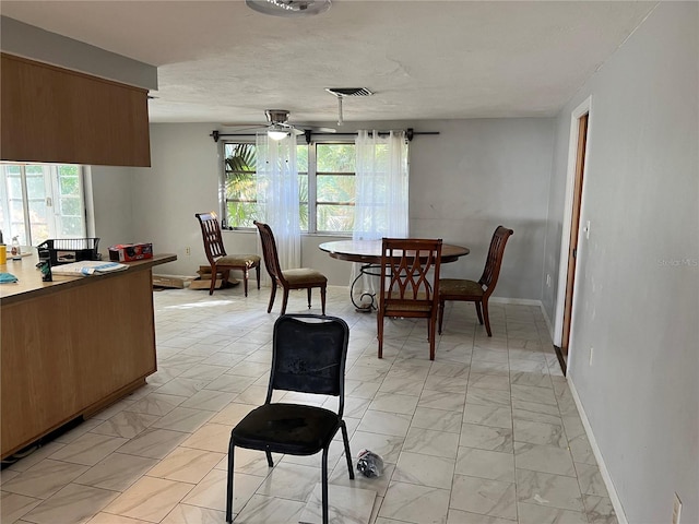 dining space featuring a wealth of natural light and ceiling fan