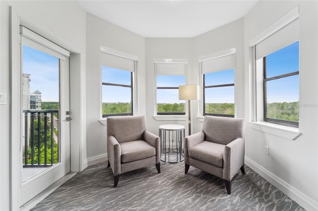 sitting room with plenty of natural light