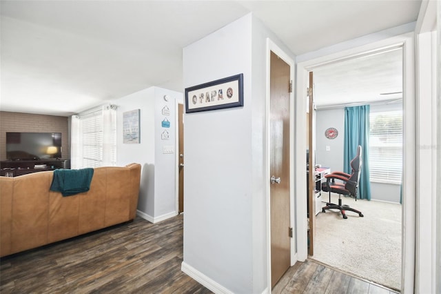 hall featuring dark wood-type flooring