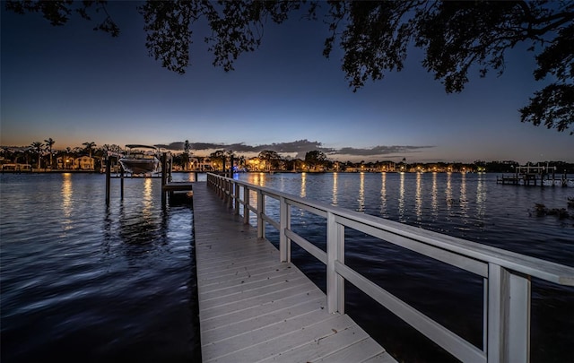 dock area with a water view