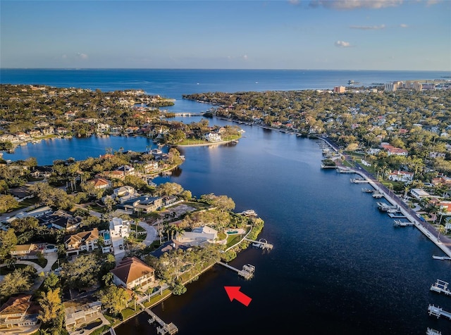 drone / aerial view with a water view