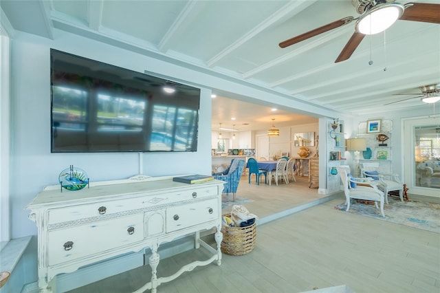 living room featuring ceiling fan and light wood-type flooring