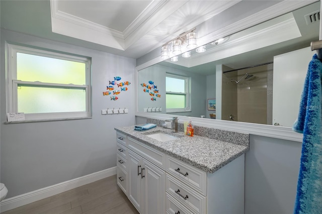 bathroom with a raised ceiling, vanity, wood-type flooring, and ornamental molding