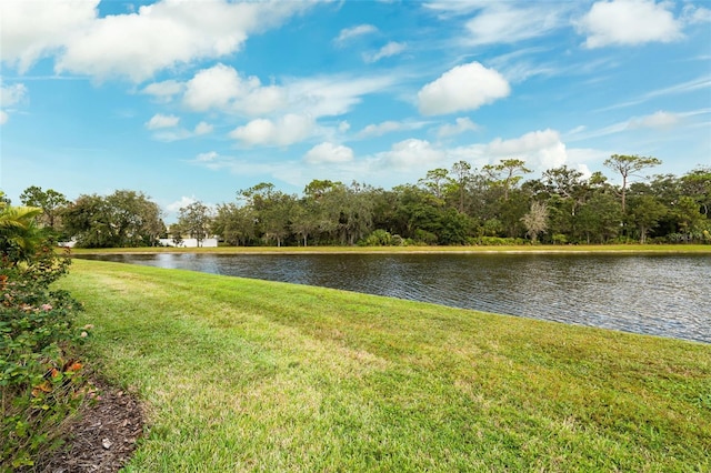 property view of water