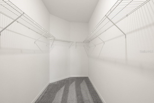 walk in closet with carpet