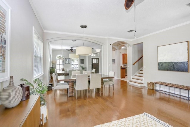 dining space with light hardwood / wood-style floors, ceiling fan, and ornamental molding