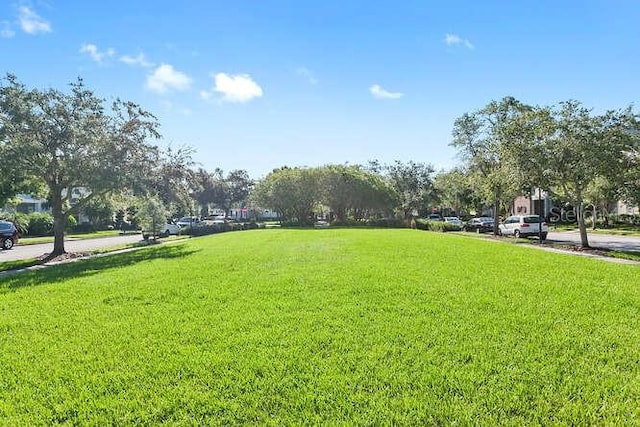 view of home's community featuring a yard