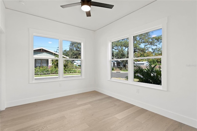 1001 E New Orleans Ave, Tampa, FL 33603 - photo 24