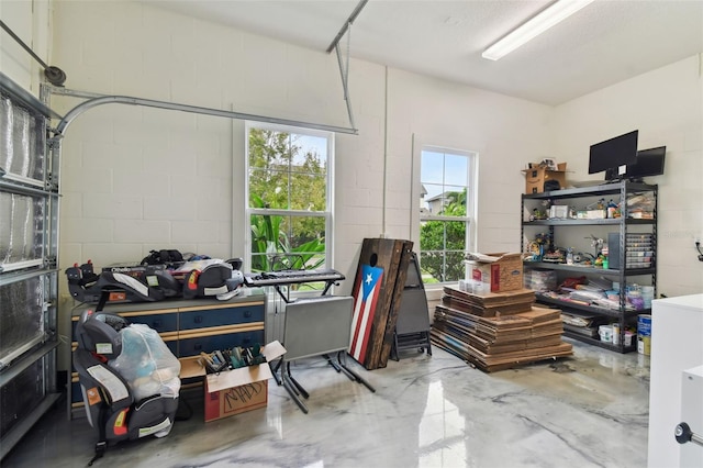 6317 Brevada Ln, Apollo Beach, FL 33572 - garage with concrete block wall
