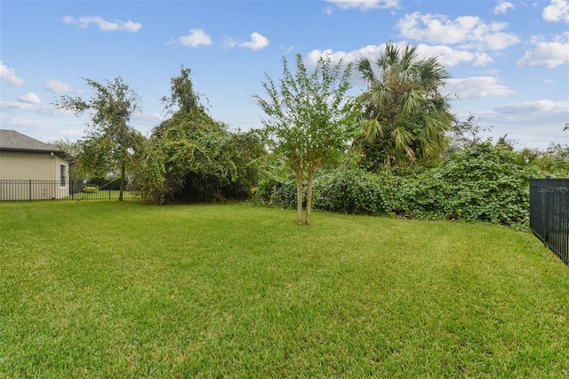 6317 Brevada Ln, Apollo Beach, FL 33572 - view of yard