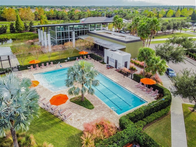 view of pool featuring a patio area