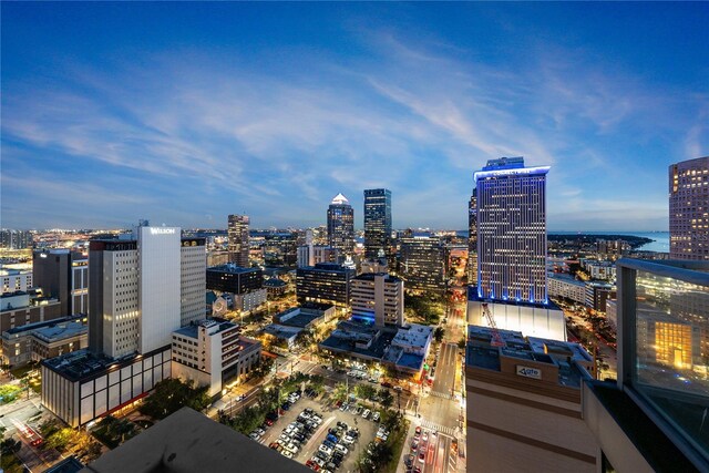 777 N Ashley Dr Unit 2613, Tampa, FL 33602 - photo 23