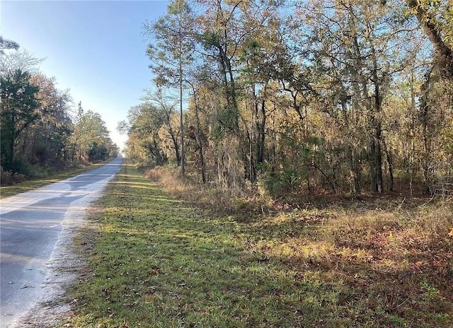 SE 126th Ter, Dunnellon FL, 34431 land for sale