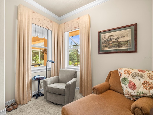 sitting room featuring ornamental molding and carpet floors