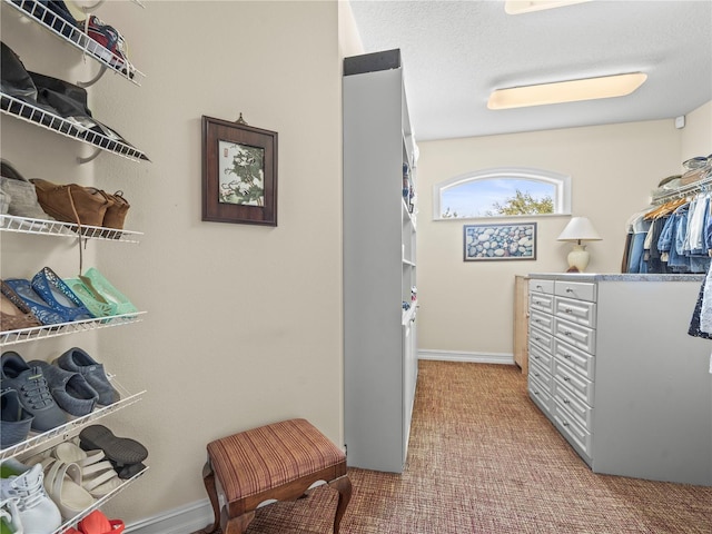 walk in closet with light carpet and a mail area