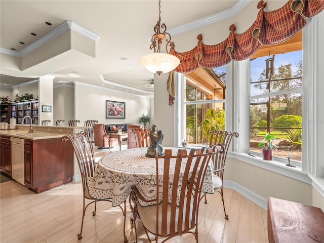 dining area featuring sink, ornamental molding, ceiling fan, a tray ceiling, and light wood-type flooring