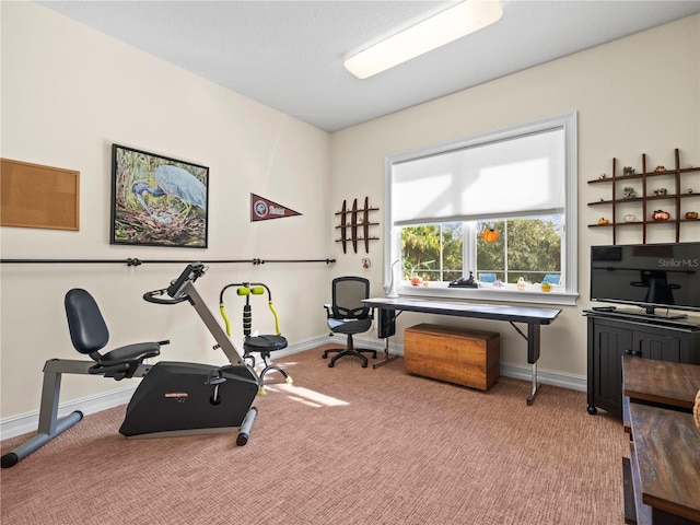 exercise area with carpet